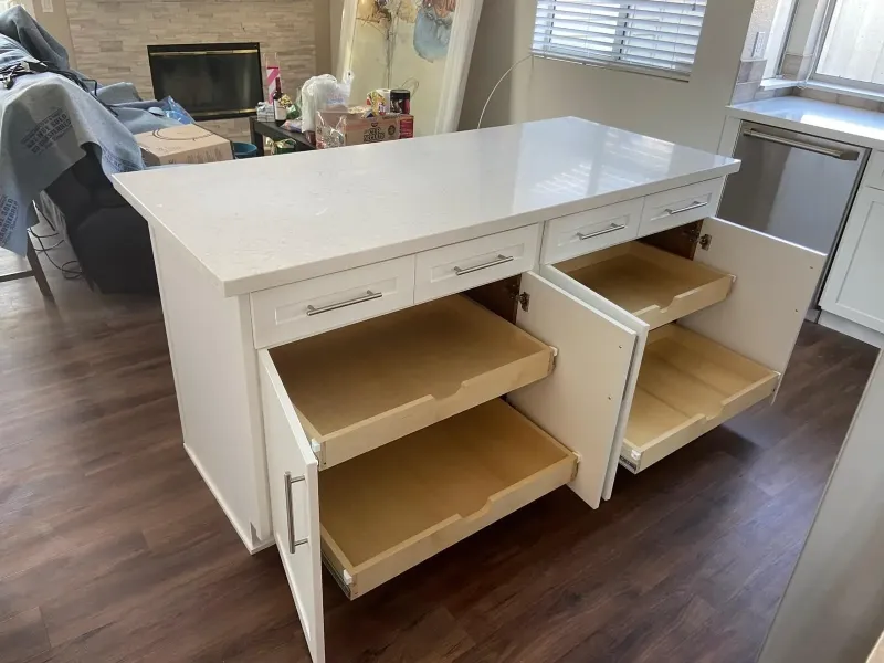 Rollout Shelves